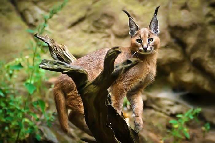       - 20  2017  14:08 - 2