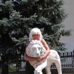 ���� �������, ������ - ��������� 16 ������ 2017