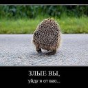 ���� ���������, �������, 46 ��� - ��������� 22 ������ 2017 � ������ ���� ����������