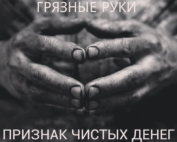     - 8  2017  03:28