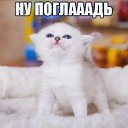 ���� ������, �������, 35 ��� - ��������� 12 �������� 2017 � ������ ������ ��������