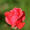 ���� �������, ������, 65 ��� - ��������� 21 ������� 2017 � ������ ������ ��������