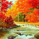���� Lena, �����-��������� - ��������� 4 ������� 2017 � ������ ������ ��������