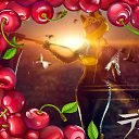 ���� ����, �������, 27 ��� - ��������� 21 ���� 2017