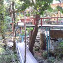 �������, ���������� �� ������� ���������