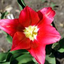 ���� ������, ������, 49 ��� - ��������� 3 ��� 2017 � ������ ������� Nikon�