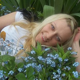 ���� �������, ������ - ��������� 5 �������� 2017