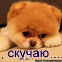 ���� �������, ����������� - ��������� 26 ������� 2017