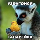 ���� ���������), ������ - ��������� 28 �������� 2017 � ������ ���� ����������