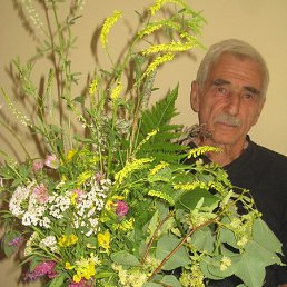 ������, ������, 90 ���