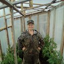 ���� �������, ����, 51 ��� - ��������� 3 ������� 2017 � ������ ��������