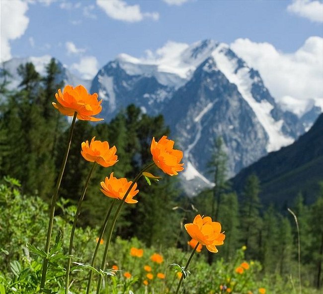 ������ �����! - 21 ���� 2017 � 14:37