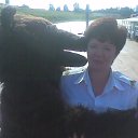 ���� ������, ������, 52 ���� - ��������� 7 ������� 2017 � ������ ���� ����������