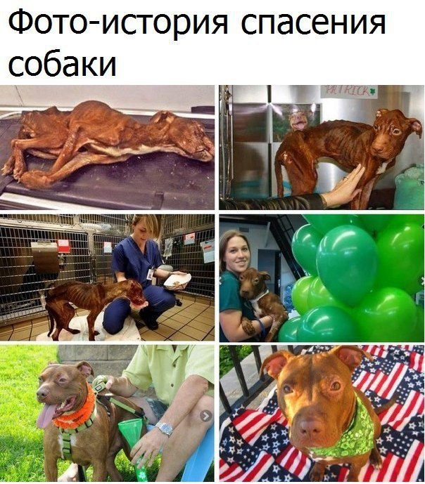 ����� �������� - 10 ������� 2017 � 20:41