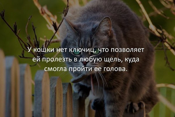   - 28  2017  10:20