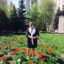 ���� ������, ��������, 52 ���� - ��������� 1 ��� 2017 � ������ ���� ����������