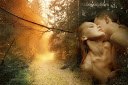 Разве я виноват, что заполнена, Голова моя мыслями грешными. Разве я виноват, что глазам моим, Так ...