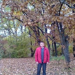 ����, �������, 48 ���