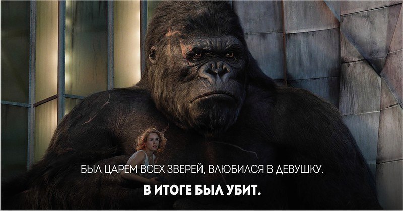 �� ���� ������� �������. #����@rules4life - 8
