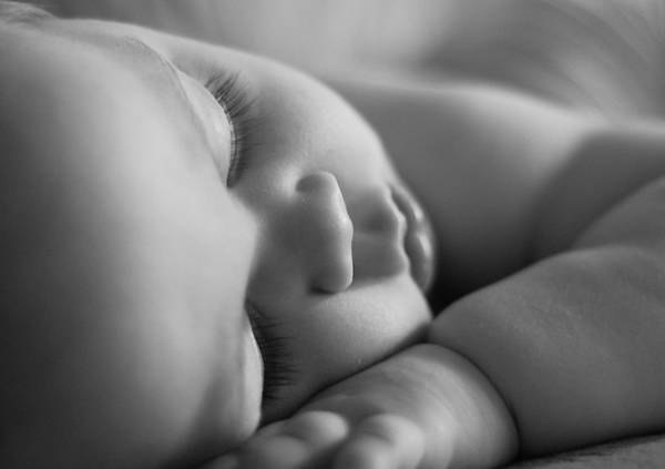 ���� �� ���� �� ���� �� �������. ��������� �����, ����� � ����. ������ ����� �� ���� ��������, ...