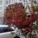 ���� �������, ������������, 72 ���� - ��������� 2 ���� 2017 � ������ ���� ����������