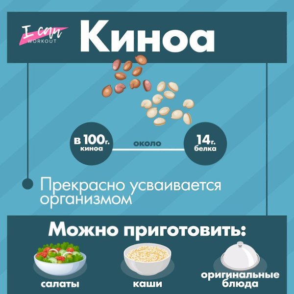 Источники растительного белка! Сохрани, чтобы не потерять - 4