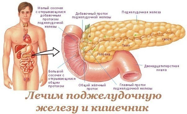 Лечим поджелудочную железу и кишечник. Очень часто при неправильном питании, стрессах, лечении ...