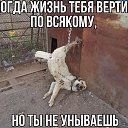 ���� =����=, ������ ��� - ��������� 25 ���� 2017 � ������ ������ ��������
