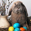 ���� Vassa, ���� - ��������� 16 ������ 2017 � ������ ������ ��������