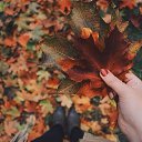 ���� ������, ��������, 51 ��� - ��������� 1 ������ 2017 � ������ ���� ����������