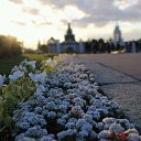 ���� �����, ������, 35 ��� - ��������� 17 ���� 2017 � ������ ���� ����������