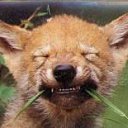 ���� ������, �����-���������, 63 ���� - ��������� 12 ���� 2017 � ������ ���� ����������