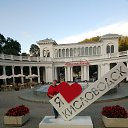  ,  , 51  -  11  2017    