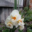 ���� �������, ������, 58 ��� - ��������� 29 ������ 2017 � ������ ���������� �����