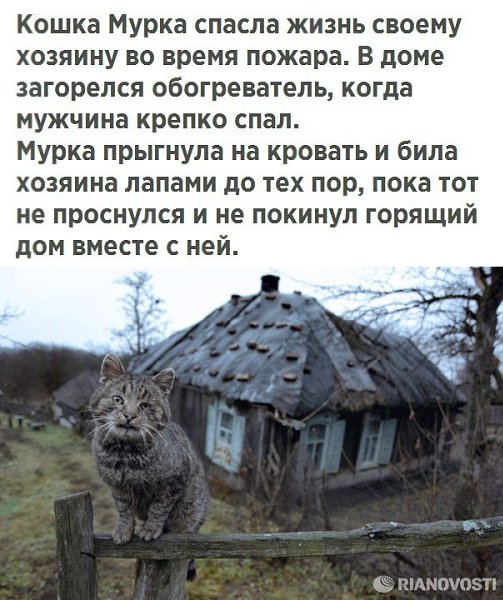 Лайфхак - 18 августа 2017 в 15:03