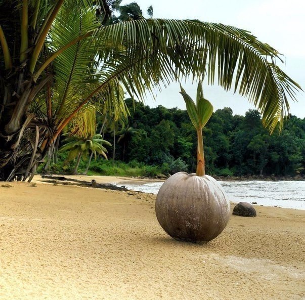 ��� ��� ���������� ������