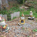 ���� Fedor., ������-���, 56 ��� - ��������� 21 �������� 2017 � ������ ������ ��������