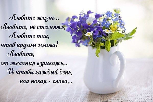   - 15  2017  08:40