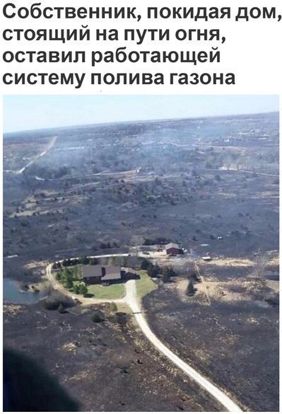   - 20  2017  11:05