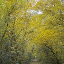 ���� ���������, ������ - ��������� 29 ������� 2017 � ������ ��������� �� ���� ����� 15 ������� 2017 ����