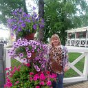  , , 35  -  6  2017   ߻