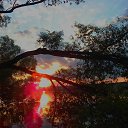 ���� �����, ��������� - ��������� 29 ���� 2017 � ������ ���� ����������