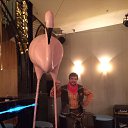 ���� ���������, ������, 49 ��� - ��������� 6 ��� 2017 � ������ ���� ����������