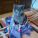 ���� ������, �����-��������� - ��������� 23 ������� 2017 � ������ ������ ��������