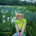 ���� ����, ������, 55 ��� - ��������� 18 ���� 2017