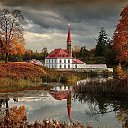 ���� �������, �����-���������, 55 ��� - ��������� 8 ���� 2017 � ������ ���� ������� �����