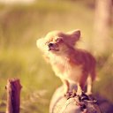 ���� ������, ��������, 49 ��� - ��������� 7 ������ 2017 � ������ ���� ����������