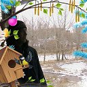  111, , 54  -  19  2017    