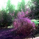 ����� - "�������" ���������� ������ �� ������� �2017�