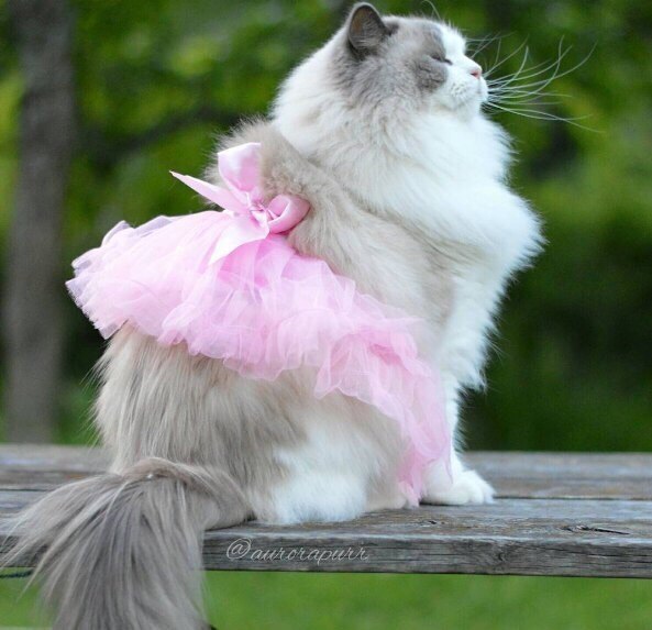 ����� ��� ������� ��������� �� ��������� � ������ ��� ����� �������� � ��������